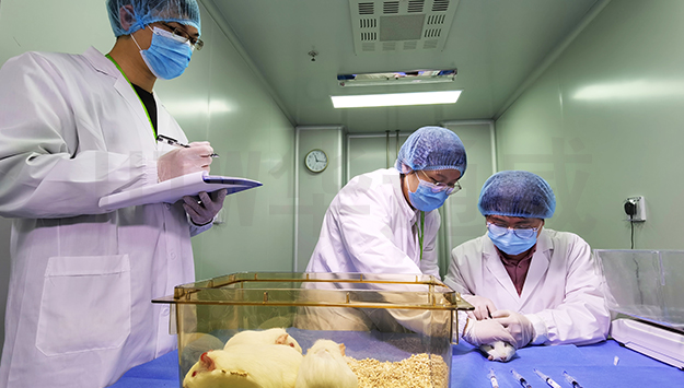 Skin irritation test-ISO 10993-10, GB/T 16886.10